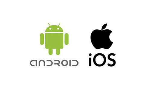 infoTrade1604886731810.jpg
